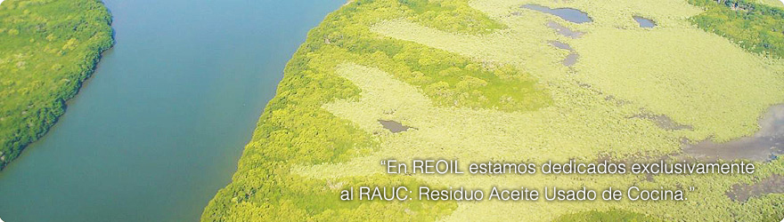 Reoil México